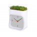 Часы настольные "Grass", белый/зеленый с нанесением логотипа компании