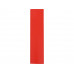 Футляр для ручек "Case", красный с нанесением логотипа компании
