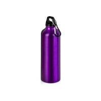 Бутылка "Hip M" с карабином, 770 мл, пурпурный